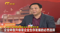 2017廣西兩會-林海明代表：企業轉型升級是企業生存發展的必然選擇